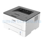 Pantum P3010D